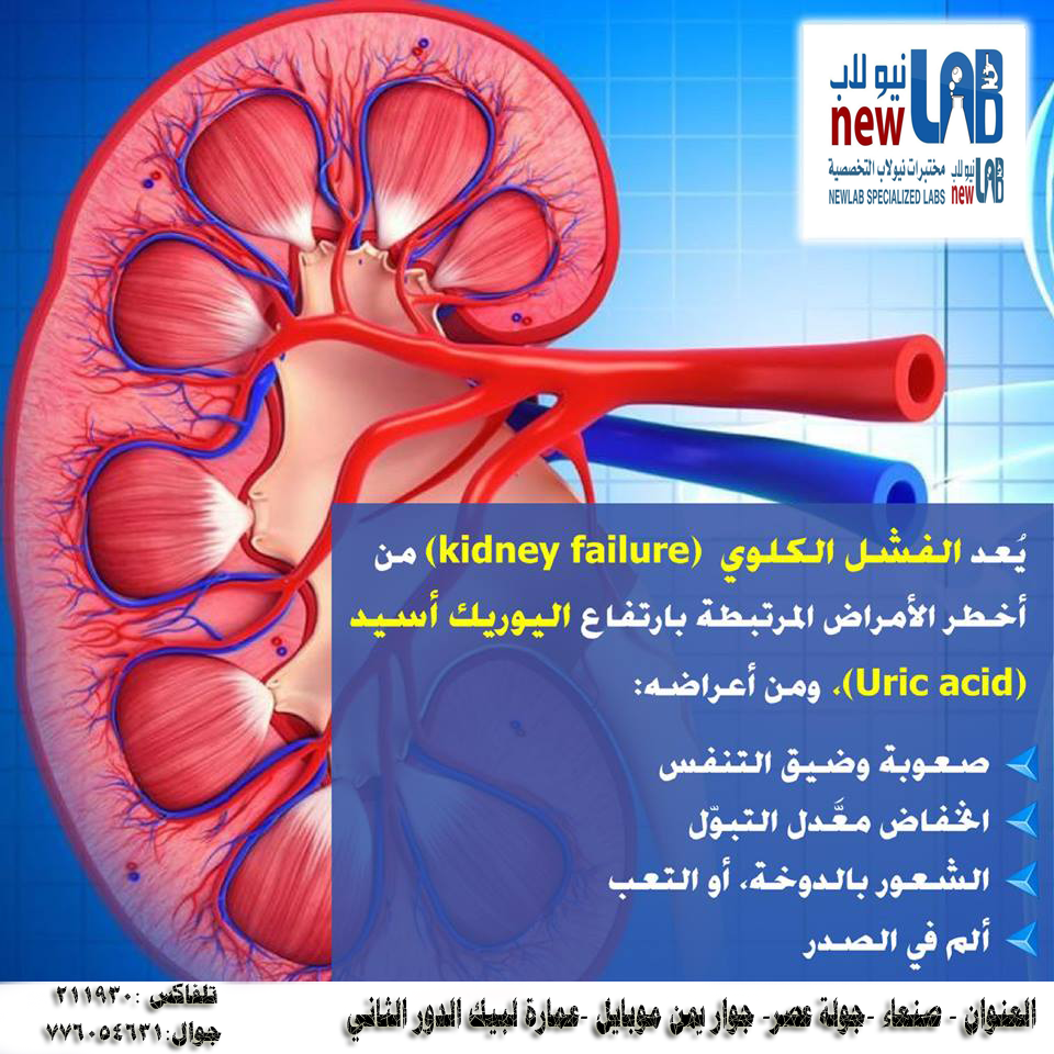 مختبرات نيولاب التخصصية